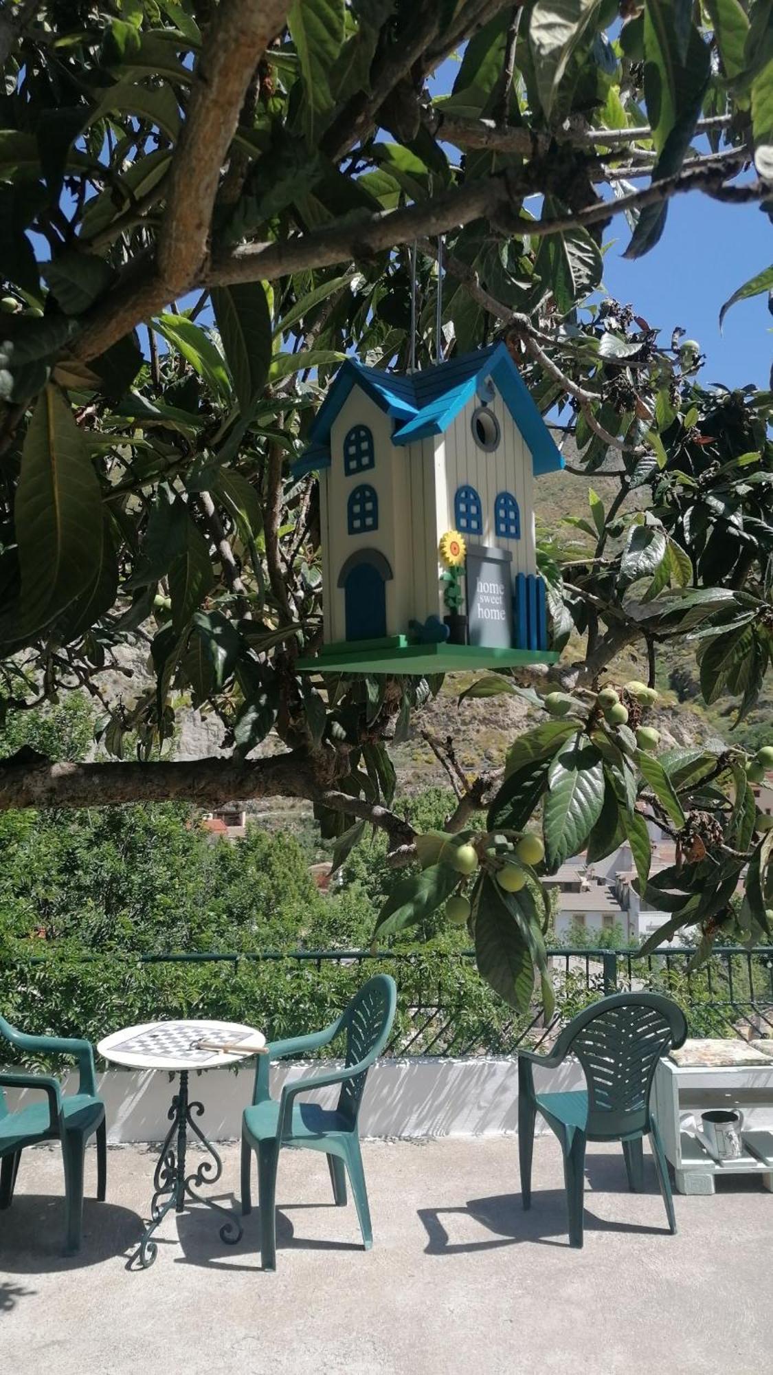 La Casa De La Abuela Lejlighed Pinos Genil Eksteriør billede